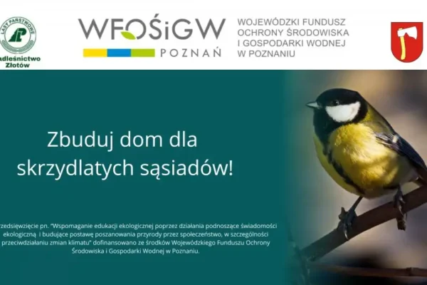 Zbuduj dom dla skrzydlatych sąsiadów!