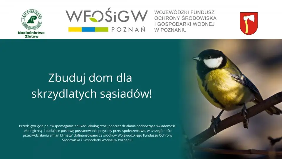Zbuduj dom dla skrzydlatych sąsiadów!