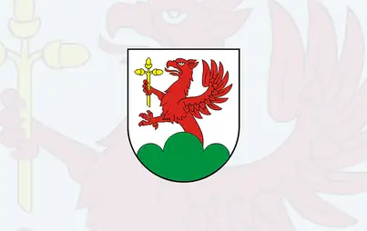 Konkurs ofert na półkolonie w Pniewie – ogłoszenie Burmistrza Okonka