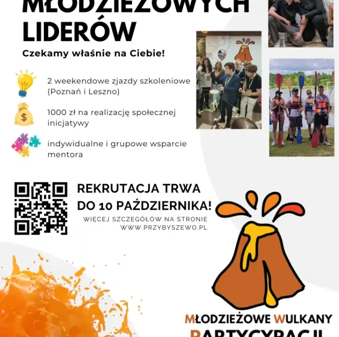 Akademia Młodzieżowych Liderów: ruszył nabór dla młodzieży z Wielkopolski